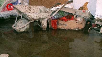 Bina sakinlerinin kabusu oldu: Küçükçekmece’de bir binayı sivrisinekler bastı!