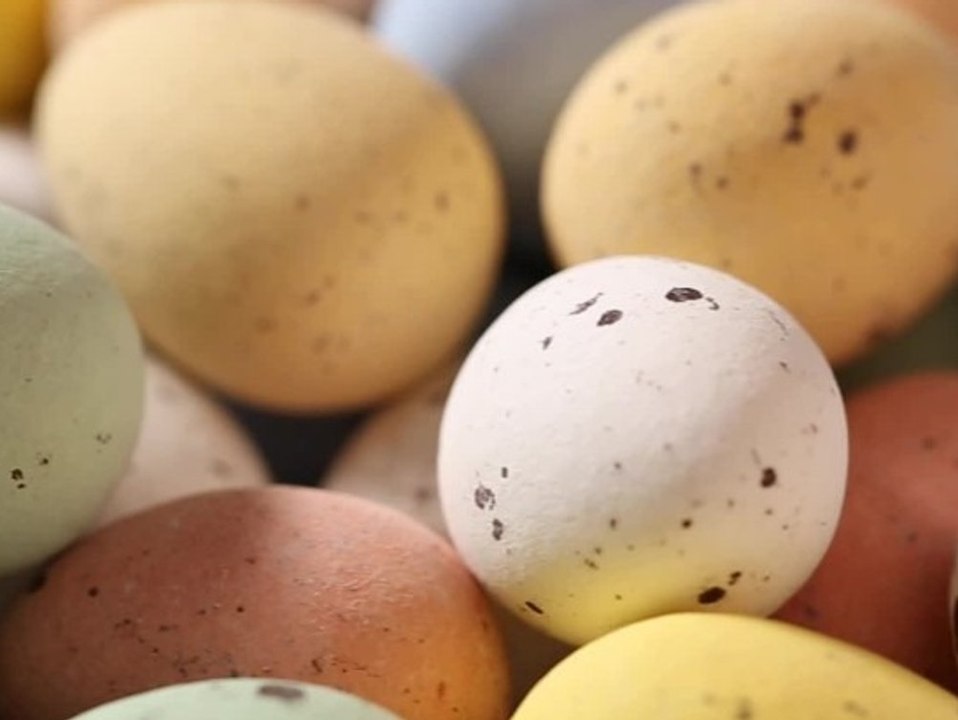 Hohe Preise: Bringt der Osterhase dieses Jahr weniger Eier?