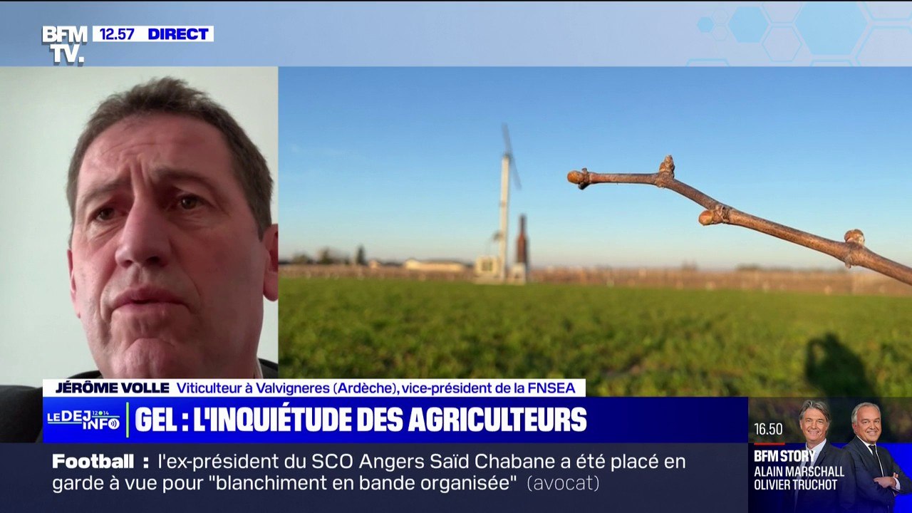 "C'est catastrophique pour tout le travail qui a été fait": Jérôme Volle, vice-président de la FNSEA, s'inquiète du retour du gel