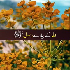 چار چیز جو انسان کو کامیاب کرتی ہے