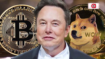 Twitter's Blue Bird Logo Replaced With A ‘Doge' Meme