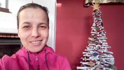 Décoration naturelle  pour le sapin de Noël