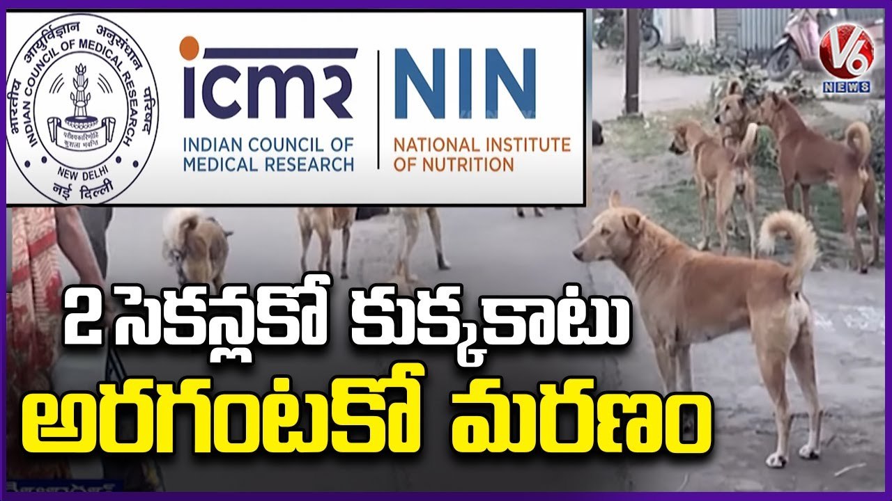 ICMR Report On Street Dog Bites _ Every Year 2 Crore People Suffer with