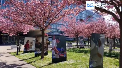 Globales Problem: Jeder 6. Mensch ist unfruchtbar