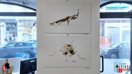 Bagutta 2023 * collettiva BE WILD