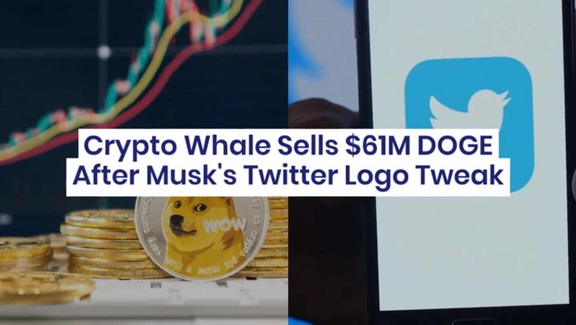 ⁣$61M Dogecoin Sold By Crypto Whale After Elon Musk's Twitter Logo Tweak