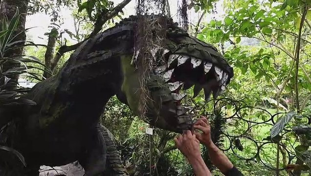 Colombian artist recycles tyres to make sculptures and raise pollution awareness