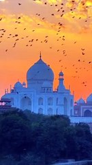 Taj Mahal Beauty