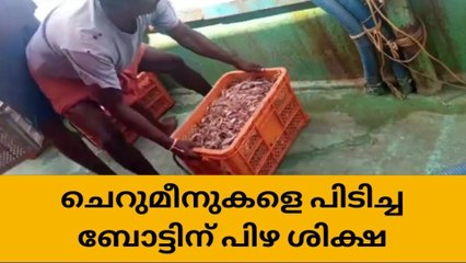 അഴീക്കോട് ചെറുമീനുകളെ പിടിച്ച ബോട്ടിന് പിഴയിട്ടു