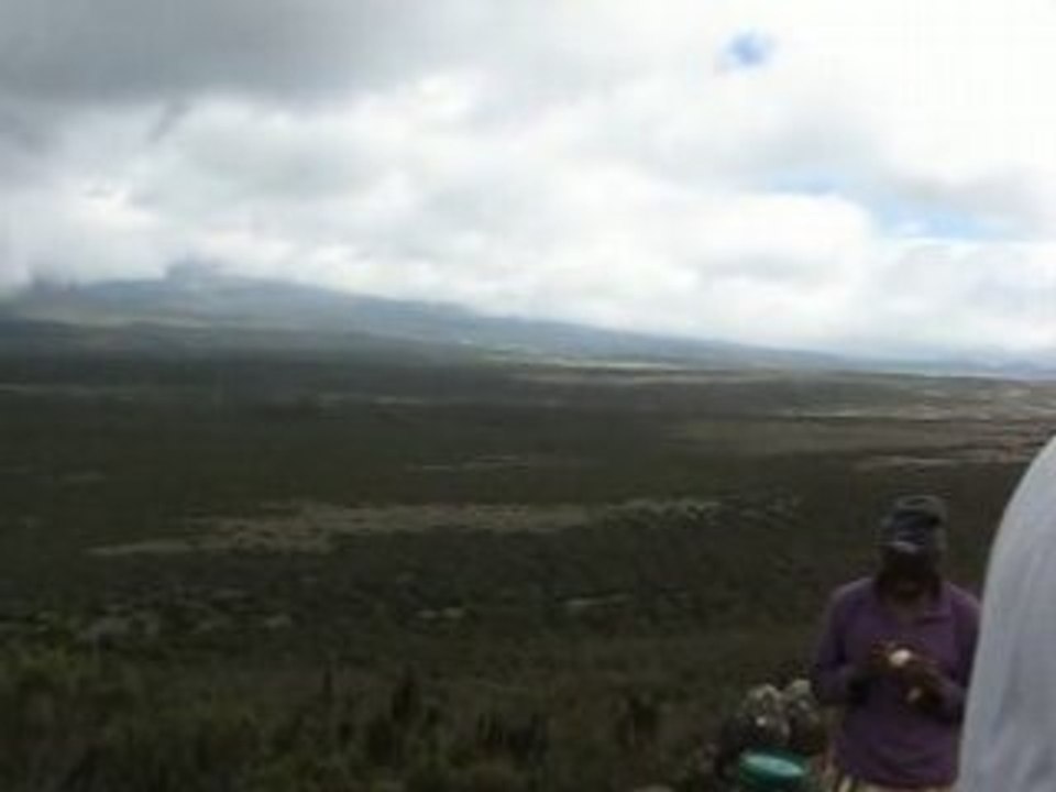 IMG 137