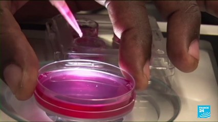 Une personne sur six souffre d'infertilité : l'OMS alerte sur "un problème sanitaire majeur" mondial