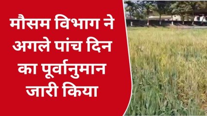 झाबुआ: अगले पांच दिन कैसा रहेगा जिले का मौसम, देखिए रिपोर्ट