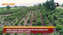 Yerba Mate: Productores de San Pedro muy conformes con el laudo