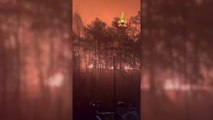 Lombardia, incendio al Parco delle Groane domato dai Vigili del Fuoco