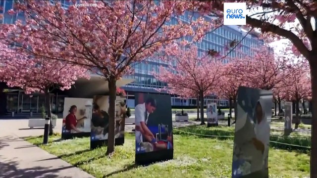 La infertilidad afecta a una de cada seis personas en el mundo, según la OMS