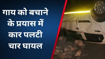 उदयपुर : गाय को बचाने के प्रयास में कार पलटी, हादसे में चार लोग हुए गंभीर घायल