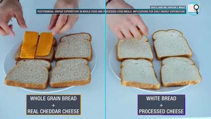 The Best Meal Plan To Lose Fat Faster (EAT LIKE THIS!)