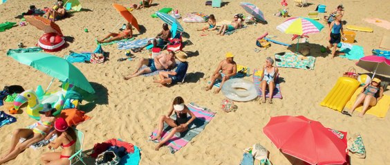 ¡Tiburón a la vista! - Tráiler oficial español