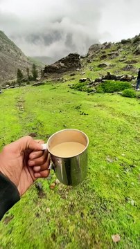 Jungle me chala jaon