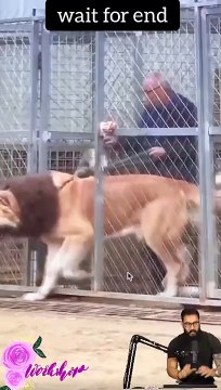 Tranding Tranding Videos Today Tranding Shorts #tranding #trandingshorts #shorts #viral 4-4-23 (4)