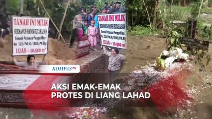 Download Video: Begini Aksi Emak-emak yang Masuk Liang Lahad Sambil Protes Gara-gara Sengketa Tanah