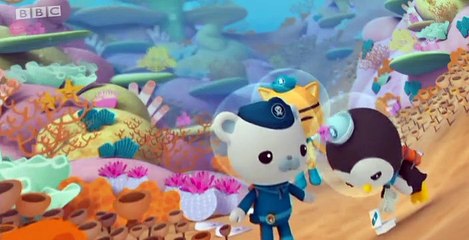 The Octonauts The Octonauts S01 E013 – The Lost Sea Star