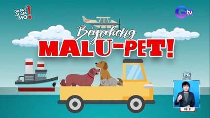 Hassle free na biyahe kasama ang pet, alamin! | Dapat Alam Mo!