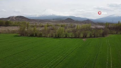 Iğdır'da kış ve bahar bir arada