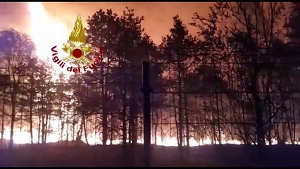 Download Video: Incendio al parco delle Groane: le immagini delle fiamme che divorano il bosco