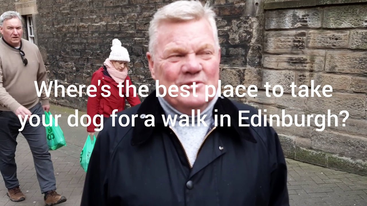 Where is the best place to take your dog for a walk in Edinburgh