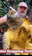 Most useful facts about animals||best unique information