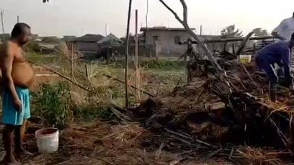 सुपौल: थ्रेसर की चिंगारी से लगी आग भूसा सहित घर जलकर राख