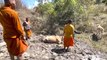 Buddhist monks rescue pregnant cow stuck in thick mud