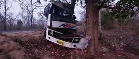 यात्री बस अनियंत्रित होकर पेड़ से टकराई