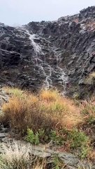 أمطار "الطائف" تلطف الأجواء وتخفض درجات الحرارة