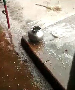 बेमौसम बारिश व ओलावृष्टि से खेतों में कटी पड़ी फसलों को नुकसान