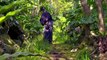 Neko Samurai 2: A Tropical Adventure - 猫侍　南の島へ行く - Neko Samurai - Minami no Shima e Yuku , Neko Zamurai Minami no Shima e iku , The Cat Samurai Goes to Southern Island