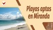 Café en la Mañana | 42 playas aptas para el disfrute de la Semana Santa 2023 en el estado Miranda