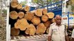 Smugglers taking teak from forest, caught by police and forest guard