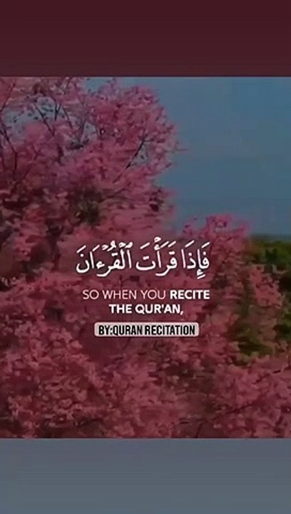 Quran Verses -- Beautiful Quran Recitation -- #quranrecitation #quranicvers #islam #quran #shorts