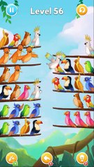 Bird Sort Puzzle Walkthrough