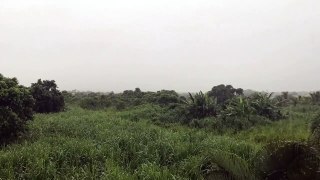 SURAH AL MUZAMIL+ RAIN SOUND ASMR||RELAXING AND SLEEPING