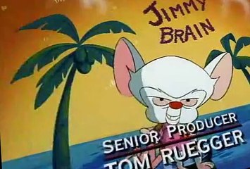 Pinky and the Brain Pinky and the Brain S01 E013 Fly