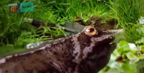 The Worst Witch S01 E05