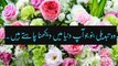 Best urdu aqwal zareen | golden words | urdu quotes