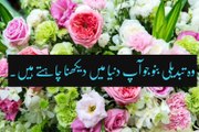 Best urdu aqwal zareen | golden words | urdu quotes