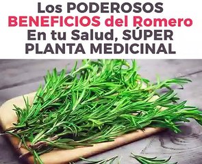 Los Poderosos Beneficios del Romero En Tu Salud, Superplanta Medicinal