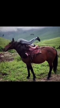 Amaizing things people doing | public got talent part 1