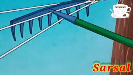 Dog enjoying vaction outside with son/tom and jerry