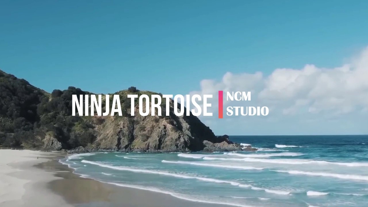 Ninja Tortoise - Verified Picasso: Cinematic Music, Bright Music, Suspense Music @NCMstudio18